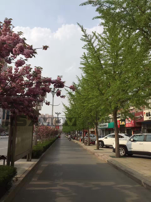 2017年4月20日